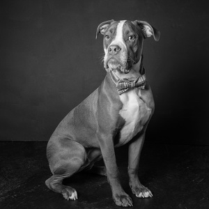 Fundraising Page: Stephanie Sharp